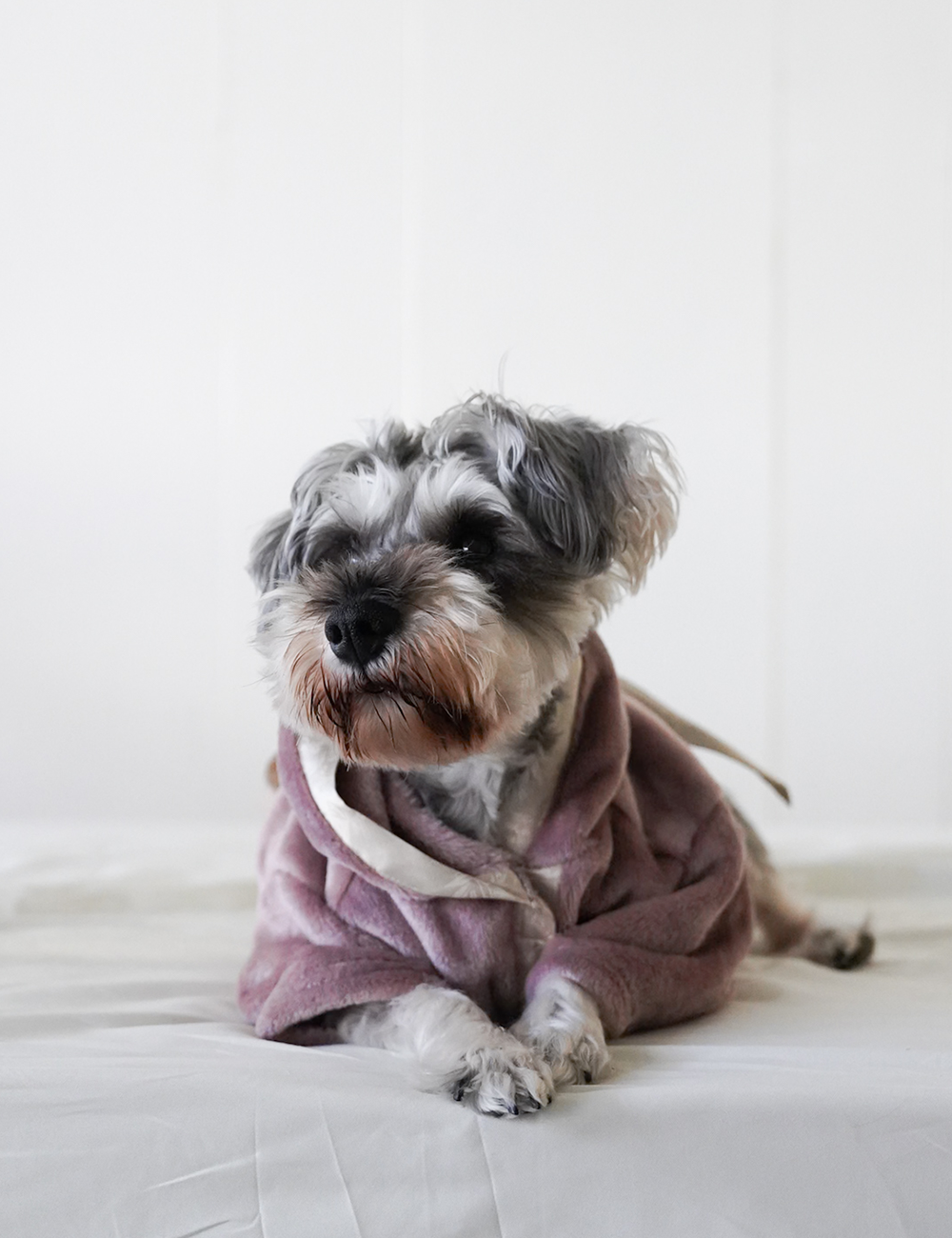 Cuddle Cloud Luxe KIMONO Robe for Puppy / 藤紅(pink purple)