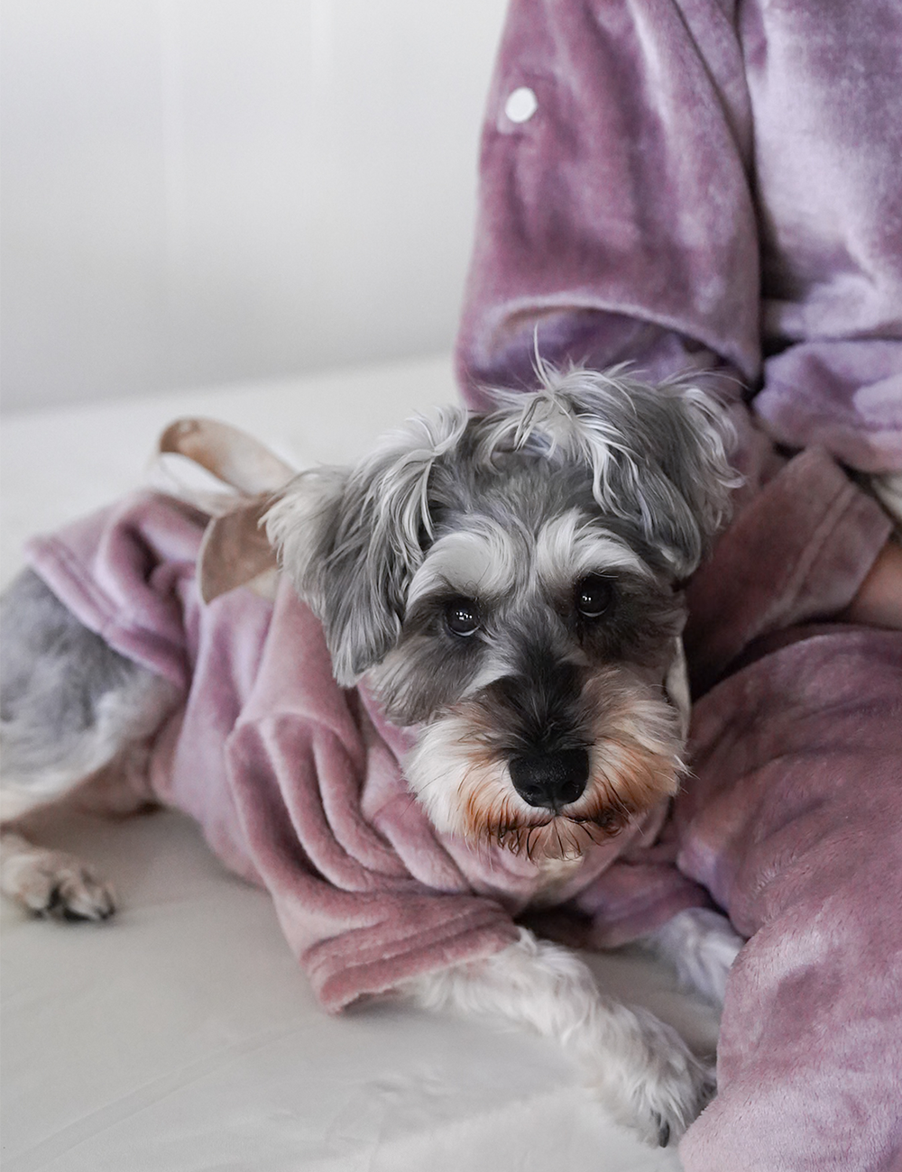 Cuddle Cloud Luxe KIMONO Robe for Puppy / 藤紅(pink purple)