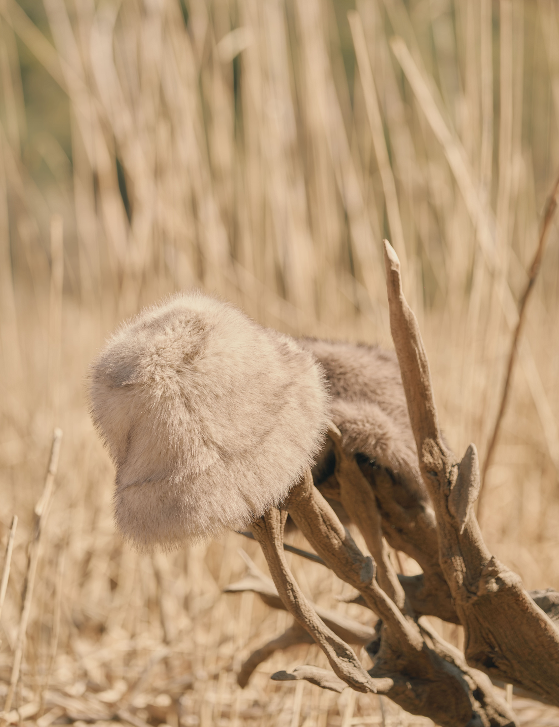 Dulce Cozy Hat / Flax (Beige)