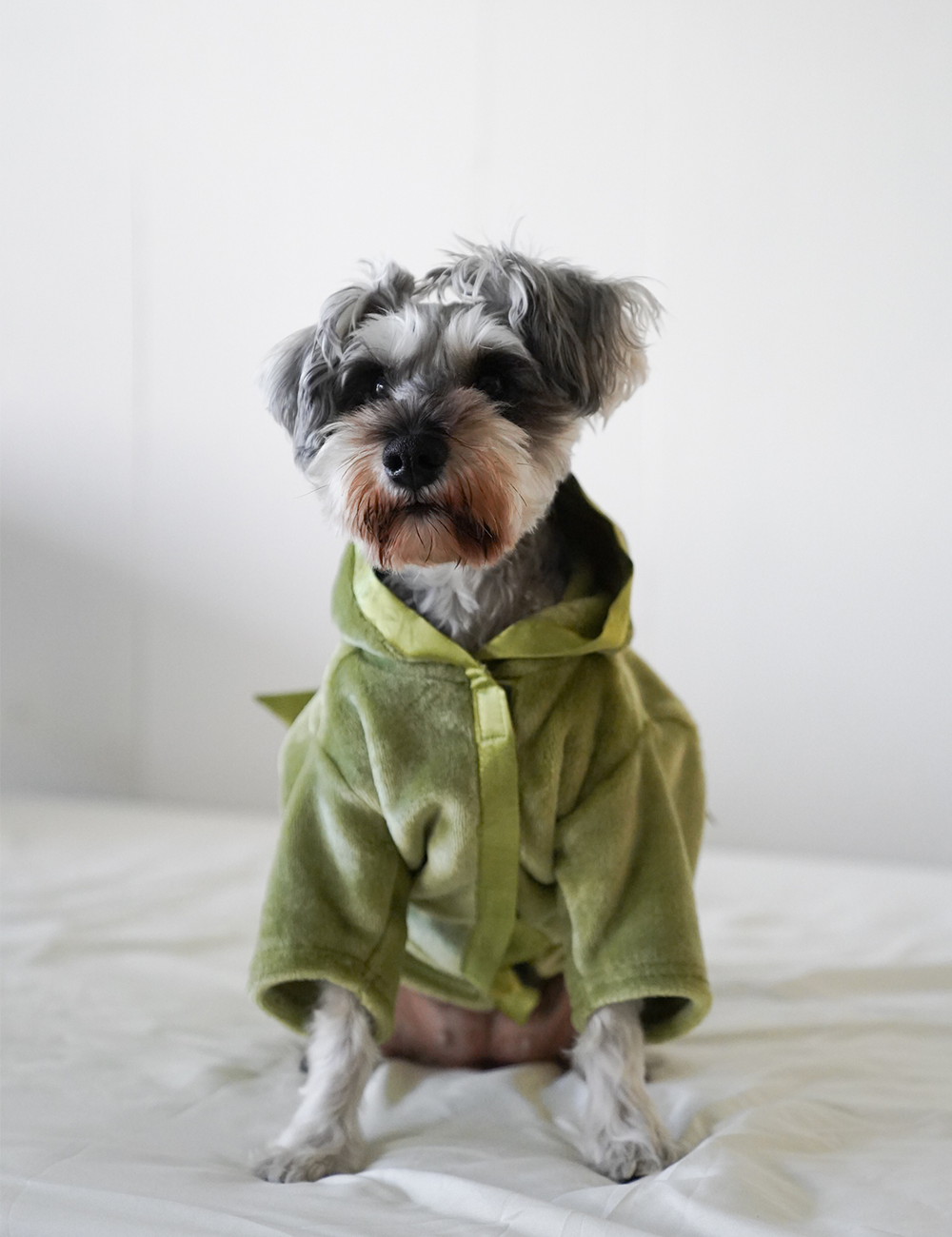 Cuddle Cloud Luxe KIMONO Robe for Puppy / Matsuba (khaki)