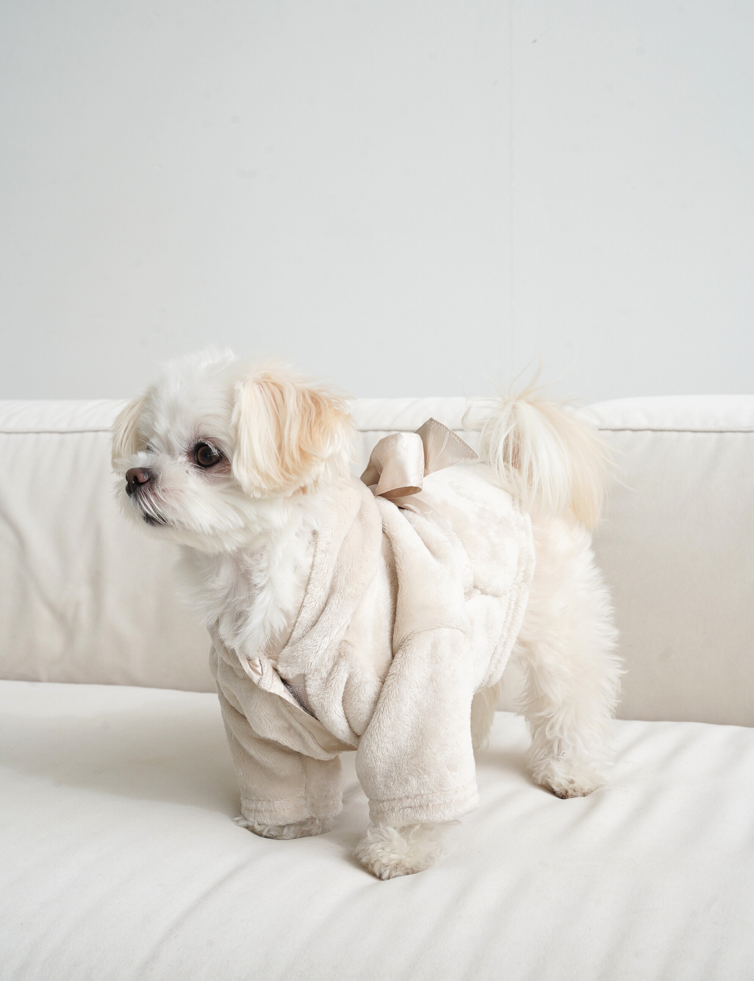 Cuddle Cloud Luxe KIMONO Robe for Puppy / 白花(ivory)