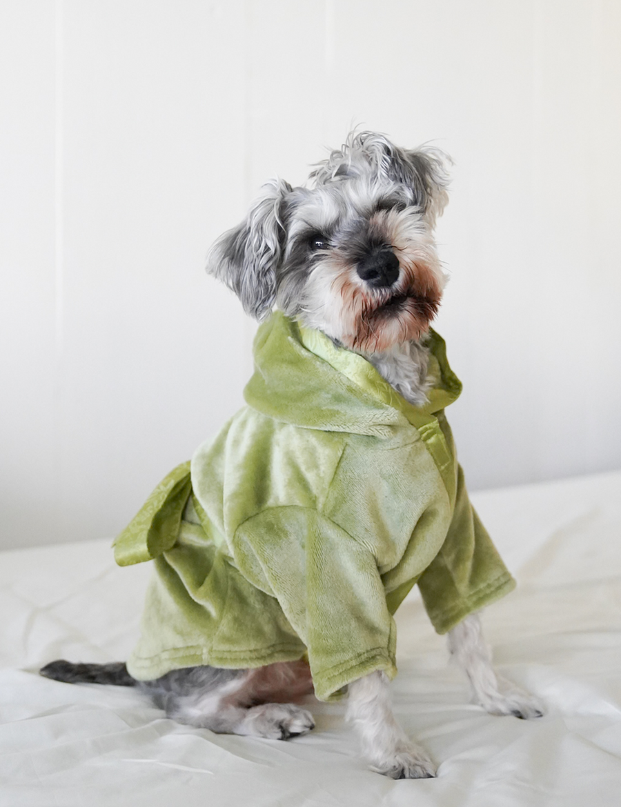 Cuddle Cloud Luxe KIMONO Robe for Puppy / Matsuba (khaki)