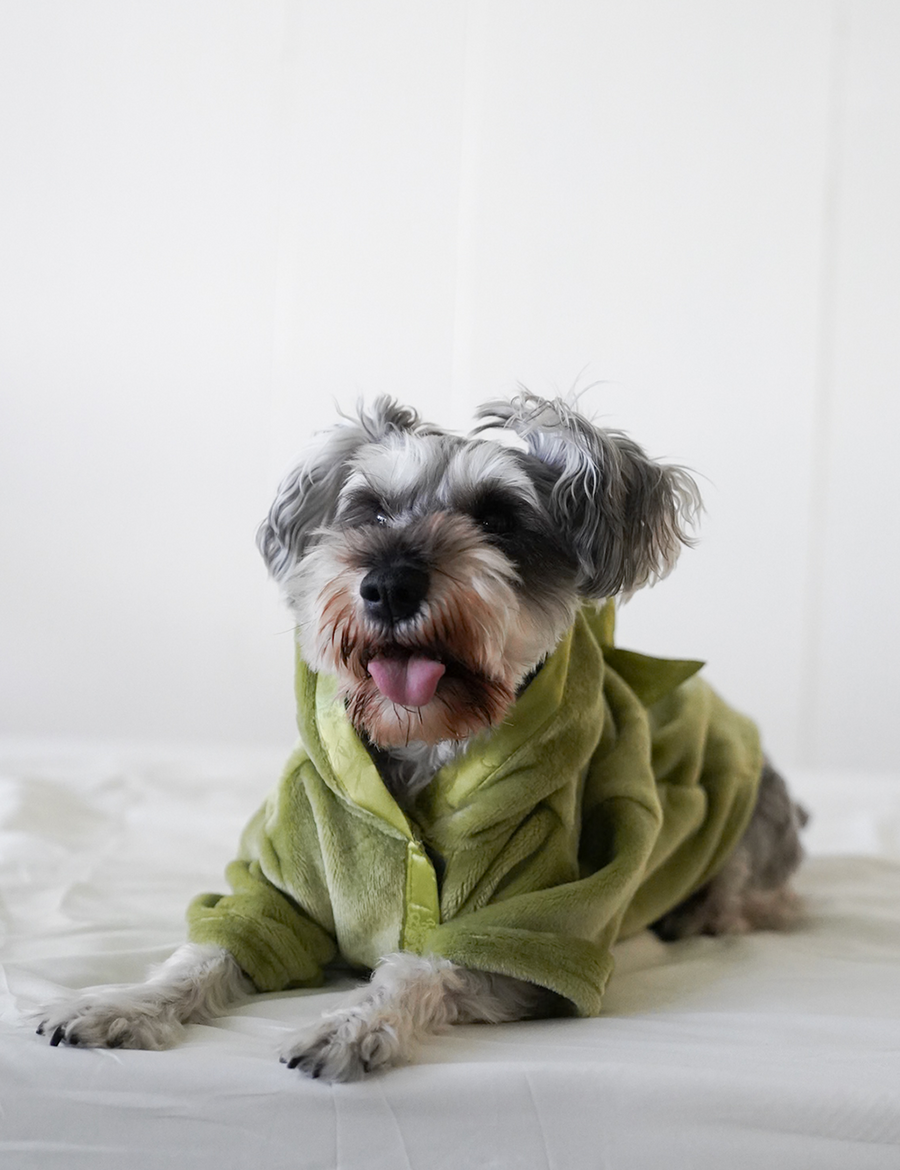 Cuddle Cloud Luxe KIMONO Robe for Puppy / 松葉(khaki)