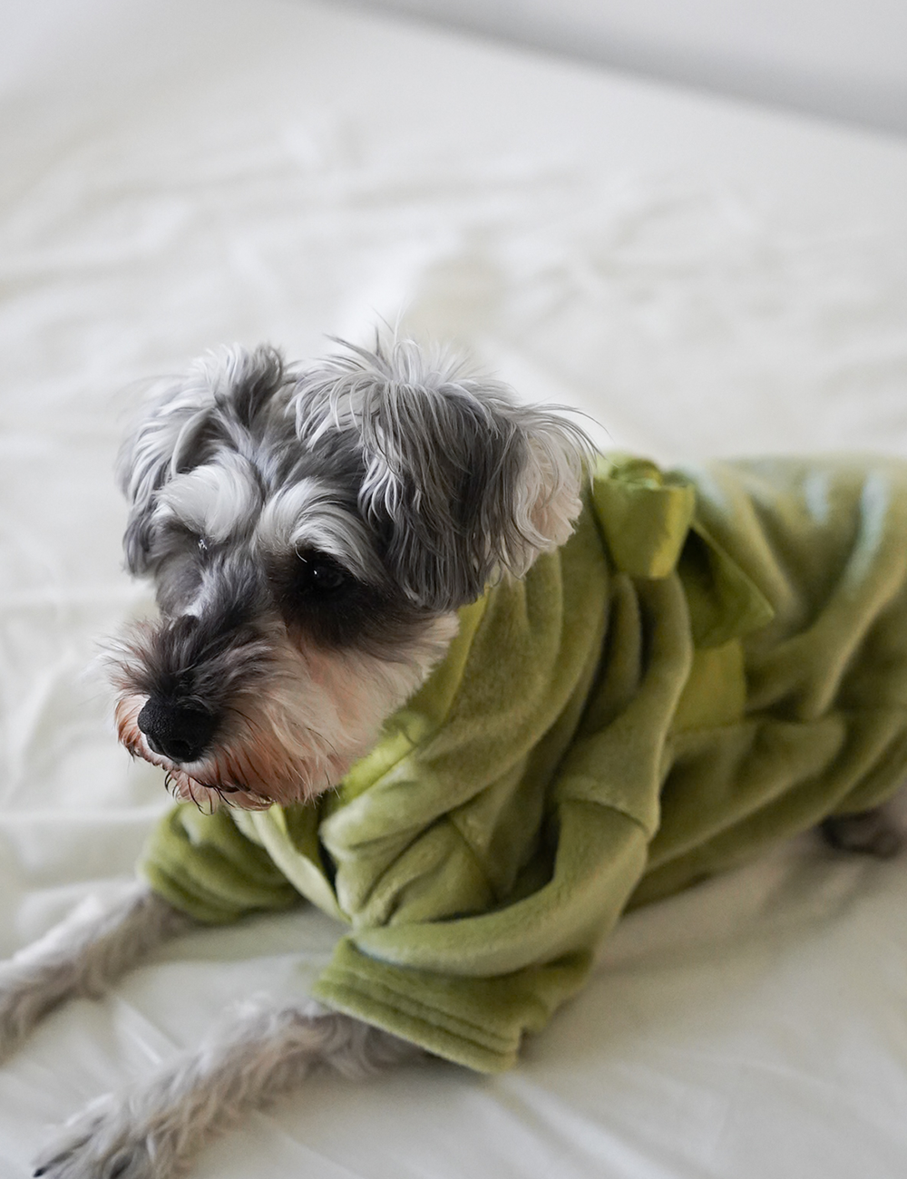 Cuddle Cloud Luxe KIMONO Robe for Puppy / Matsuba (khaki)